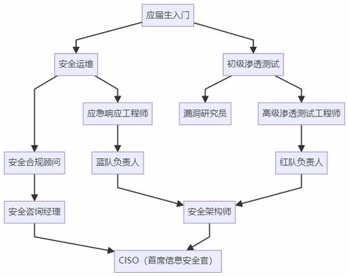 計算機生求職避坑指南 選網絡安全，比卷開發香太多